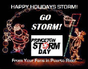 xmastorm.jpg